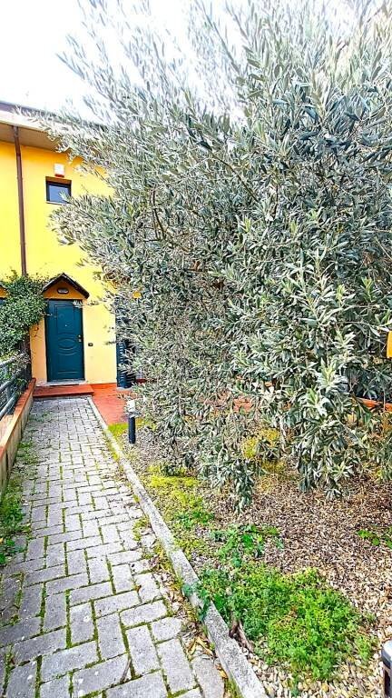 Giardino - Independent house via della Costituzione, Montelupo Fiorentino - photo 2