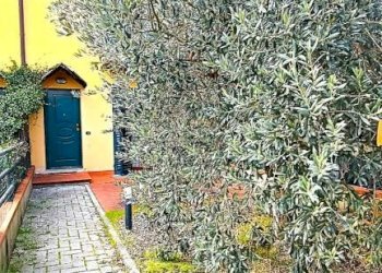 Giardino - Independent house via della Costituzione, Montelupo Fiorentino - photo 2