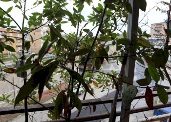 Edificio all\'aperto - Apartment C.DA S.Giusippuzzu, Agrigento - photo 16