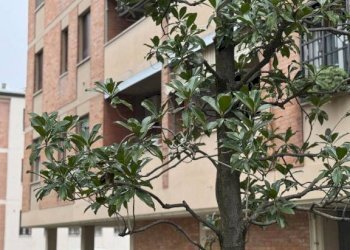 Facciata - Quadrilocale via Isaac Newton, 1, Bologna (zona Barca) - foto 4