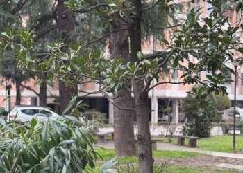 Giardino - Quadrilocale via Isaac Newton, 1, Bologna (zona Barca) - foto 7