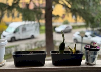 Altro - Quadrilocale via Isaac Newton, 1, Bologna (zona Barca) - foto 15