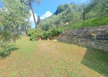 Terreno - Villa via di San Miniato, Signa - foto 9