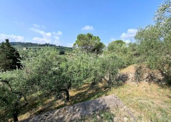 Terreno - Villa via di San Miniato, Signa - foto 11