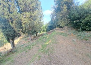 Terreno - Villa via di San Miniato, Signa - foto 12