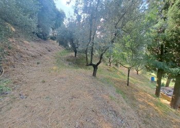 Terreno - Villa via di San Miniato, Signa - foto 13