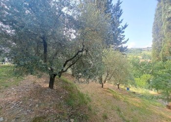 Terreno - Villa via di San Miniato, Signa - foto 14