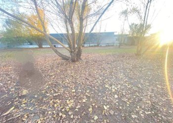 Giardino - Building land via Dante Chiasserini, Milano - photo 5