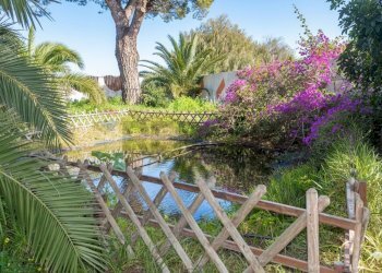 Giardino - Villa Via Strada per Vittoria
 
50, Vittoria - foto 8