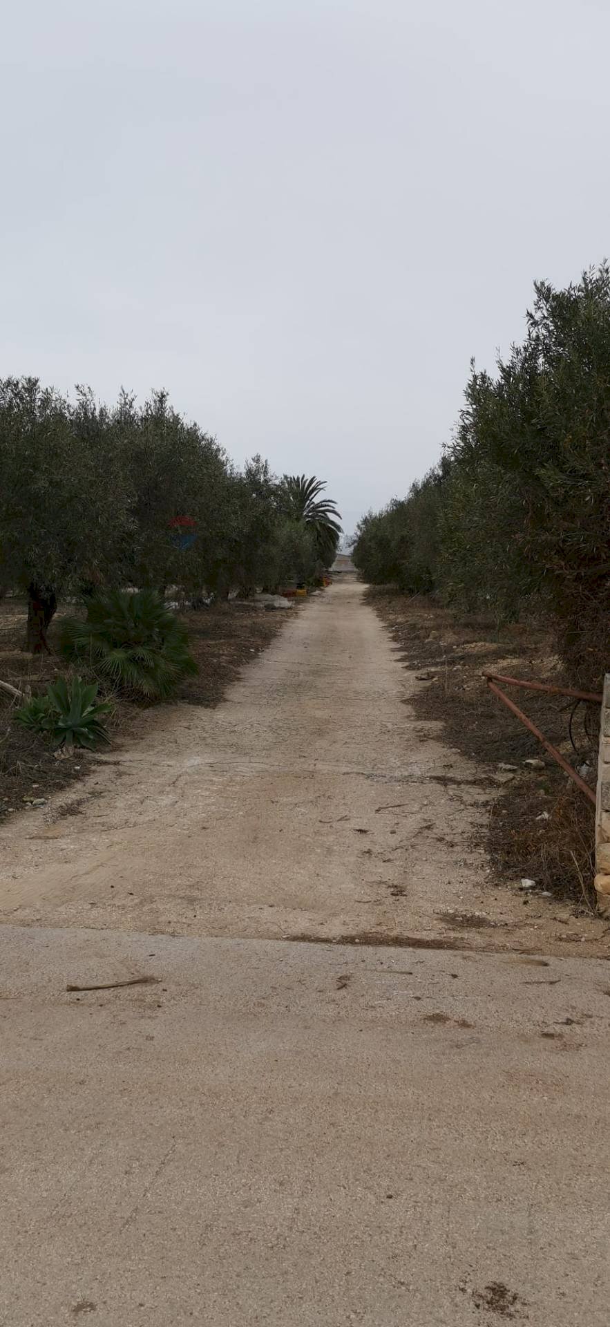Vista delle montagne - Terreno agricolo Contrada Petraro
 
snc, Scicli - foto 1
