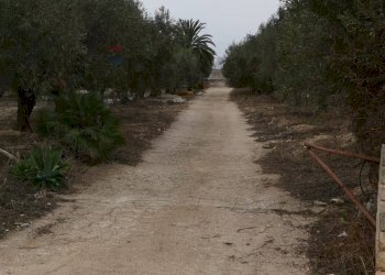 Vista delle montagne - Terreno agricolo Contrada Petraro
 
snc, Scicli - foto 1