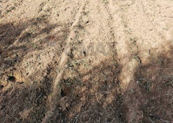 Vista delle montagne - Terreno agricolo Contrada Petraro
 
snc, Scicli - foto 9
