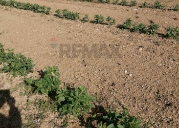 Vista delle montagne - Terreno agricolo Contrada Petraro
 
snc, Scicli - foto 10