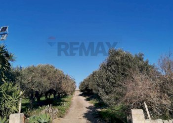 Vista delle montagne - Terreno agricolo Contrada Petraro
 
snc, Scicli - foto 11