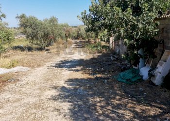 Giardino - Terreno agricolo Contrada Petraro
 
snc, Scicli - foto 12