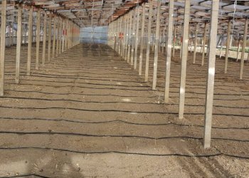 Parcheggio - Terreno agricolo Contrada Petraro
 
snc, Scicli - foto 13