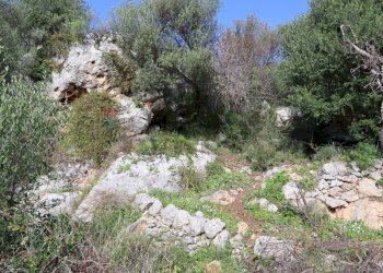 Giardino - Rustico c.da Galerme
 
snc, Ragusa - foto 13