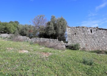 Giardino - Rustico c.da Galerme
 
snc, Ragusa - foto 23