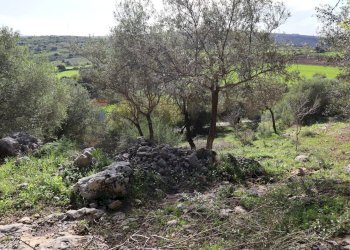 Giardino - Rustico c.da Galerme
 
snc, Ragusa - foto 26