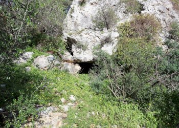 Giardino - Rustico c.da Galerme
 
snc, Ragusa - foto 27