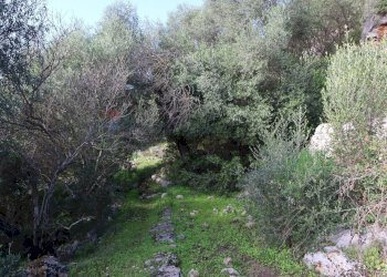 Giardino - Rustico c.da Galerme
 
snc, Ragusa - foto 30