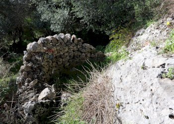 Giardino - Rustico c.da Galerme
 
snc, Ragusa - foto 34