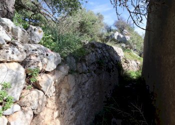 Giardino - Rustico c.da Galerme
 
snc, Ragusa - foto 35