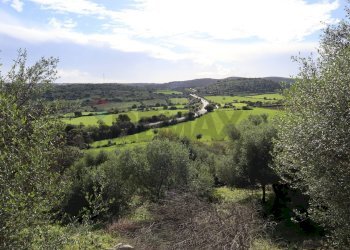 Vista delle montagne - Rustico c.da Galerme
 
snc, Ragusa - foto 36
