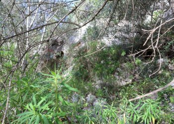 Giardino - Rustico c.da Galerme
 
snc, Ragusa - foto 38