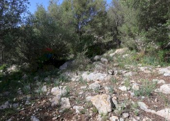 Giardino - Rustico c.da Galerme
 
snc, Ragusa - foto 40