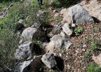 Giardino - Rustico c.da Galerme
 
snc, Ragusa - foto 41