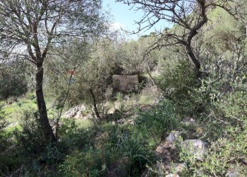 Giardino - Rustico c.da Galerme
 
snc, Ragusa - foto 42