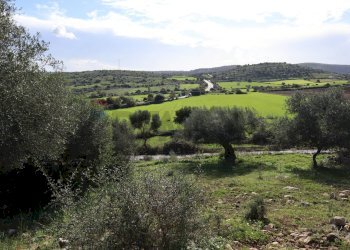 Vista delle montagne - Rustico c.da Galerme
 
snc, Ragusa - foto 44