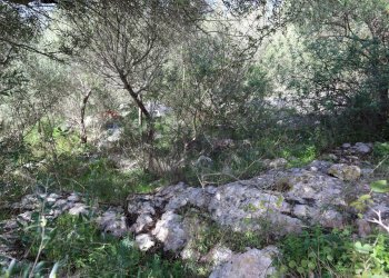 Giardino - Rustico c.da Galerme
 
snc, Ragusa - foto 45