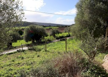 Vista delle montagne - Rustico c.da Galerme
 
snc, Ragusa - foto 48