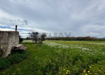 Giardino - Villa Via Chiasuzza, Ispica - photo 8