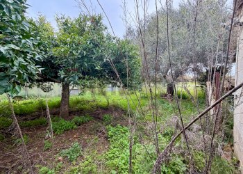 Giardino - Villa Via Chiasuzza, Ispica - photo 13