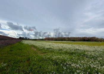 Giardino - Villa Via Chiasuzza, Ispica - photo 31