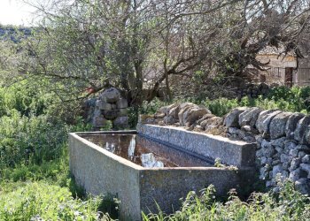 Giardino - Rustico contrada Nocifora, Ragusa - foto 5