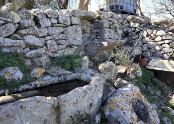 Giardino - Rustico contrada Nocifora, Ragusa - foto 19