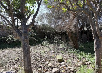 Giardino - Rustico contrada Nocifora, Ragusa - foto 22