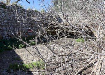 Giardino - Rustico contrada Nocifora, Ragusa - foto 35