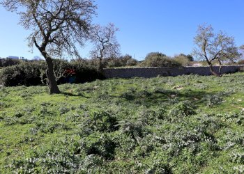 Giardino - Rustico contrada Nocifora, Ragusa - foto 40