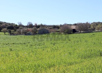 Giardino - Rustico contrada Nocifora, Ragusa - foto 63
