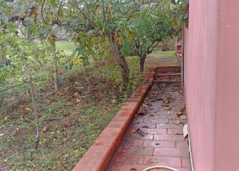 Giardino - Villa Chiaramonte Gulfi - foto 14