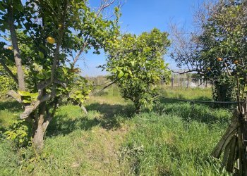 Giardino - Villa via augusteo 1141, Ispica - photo 13