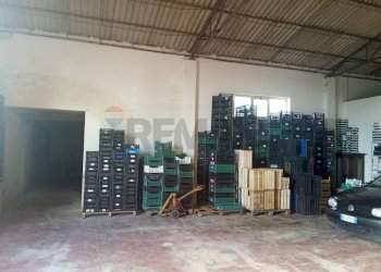 Cantina - Capannone contrada Arizza
 
snc, Scicli - foto 6