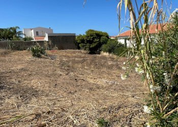 Giardino - Terreno agricolo Contrada Berdia Nuova, Vittoria - foto 11