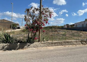 Giardino - Terreno agricolo Contrada Berdia Nuova, Vittoria - foto 12