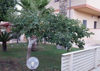 Edificio all\'aperto - Casa semi indipendente Via Beata M Schininà
 
38, Vittoria - foto 4